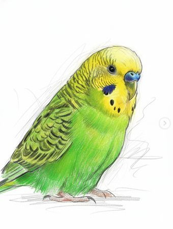 ペットの似顔絵