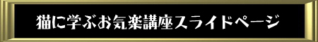 猫に学ぶ！お気楽講座