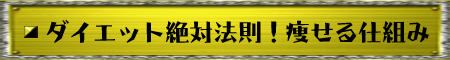 ダイエット絶対法則！痩せる仕組み